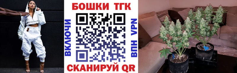 Шишки марихуана планчик Миасс
